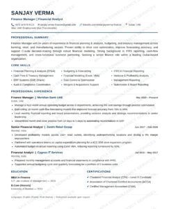 Finance Manager and Financial Analyst ATS resume example for UAE corporates